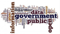 Govt Entity